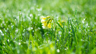 So grün wird der Frühling: Prodir DS8 gibt‘s jetzt auch als True Biotic