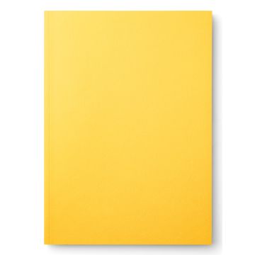 Mishmash Notizbuch MM01 Small Passport Format Terra Gialla