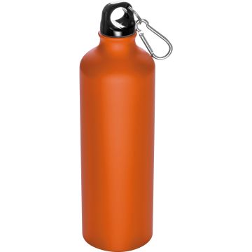 Trinkflasche aus Metall mit Karabinerhaken, 800ml
