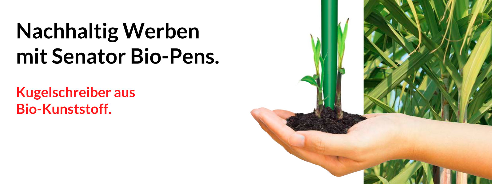 Produkte aus Bio-Kunststoff sind auf dem Vormarsch, weil sie Ressourcen schonen und bei den Kunden gut ankommen. Wir stellen die neuen Bio Pens von Senator vor.