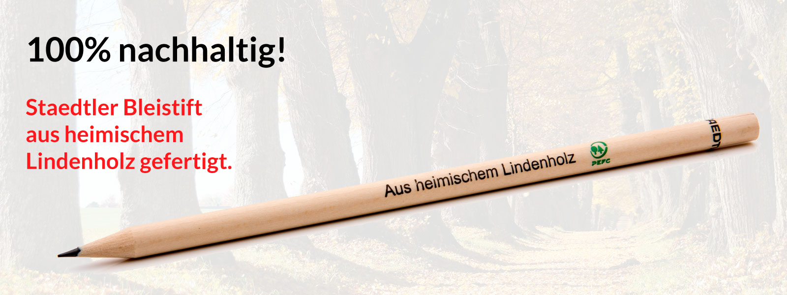 Ein Musterbeispiel für Nachhaltigkeit: Der Staedtler Bleistift natur aus heimischem Lindenholz