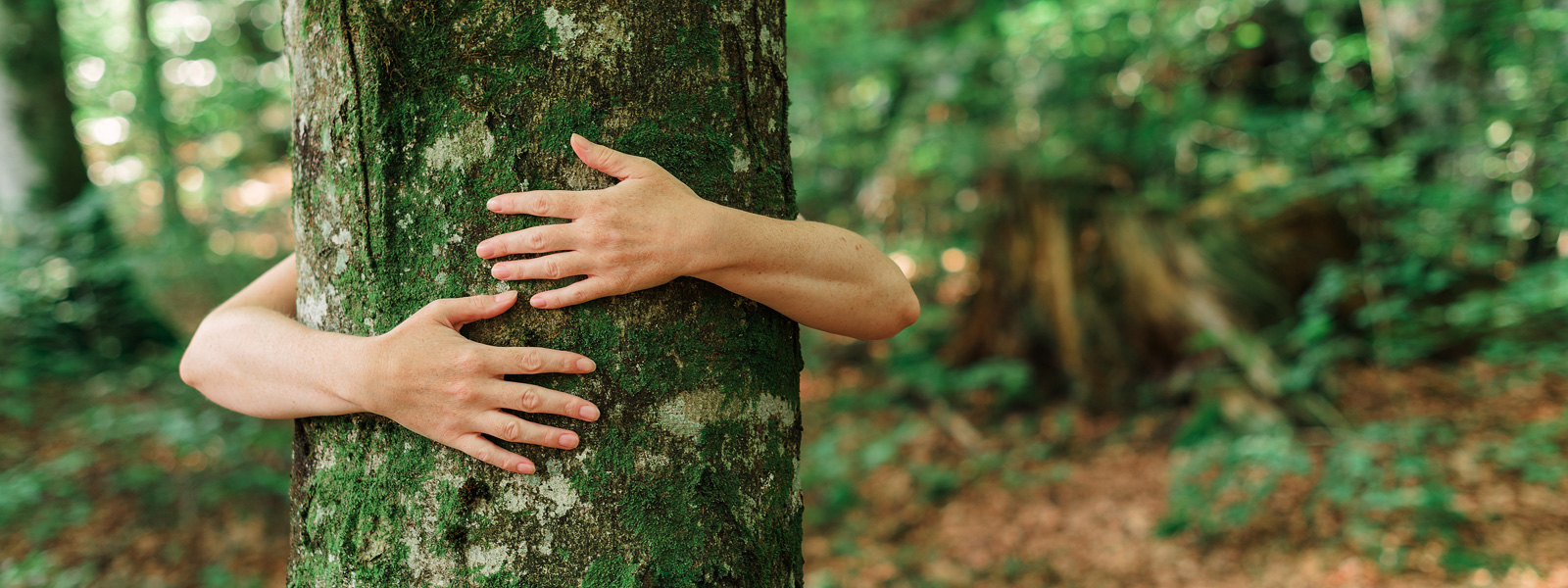Label „Eco-friendly“: Nachhaltige Kugelschreiber und ihre Wirkung