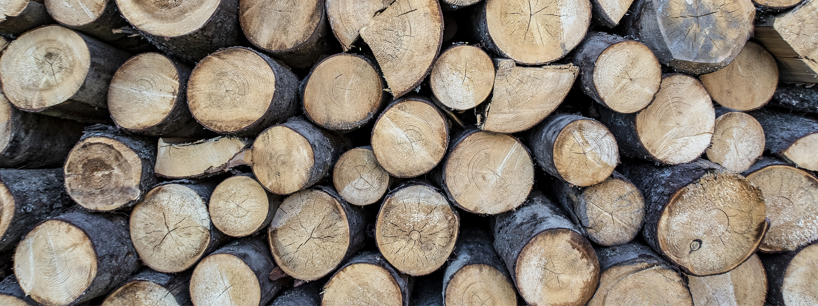 PEFC und FSC Zertifizierungen bei Meterstäben aus Holz