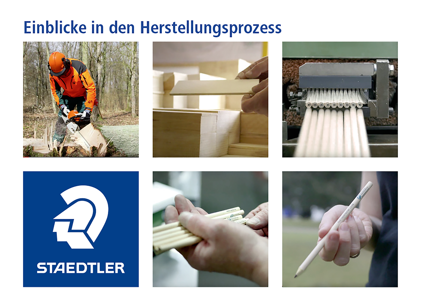 Produktion Staedtler Bleistift aus Lindenholz