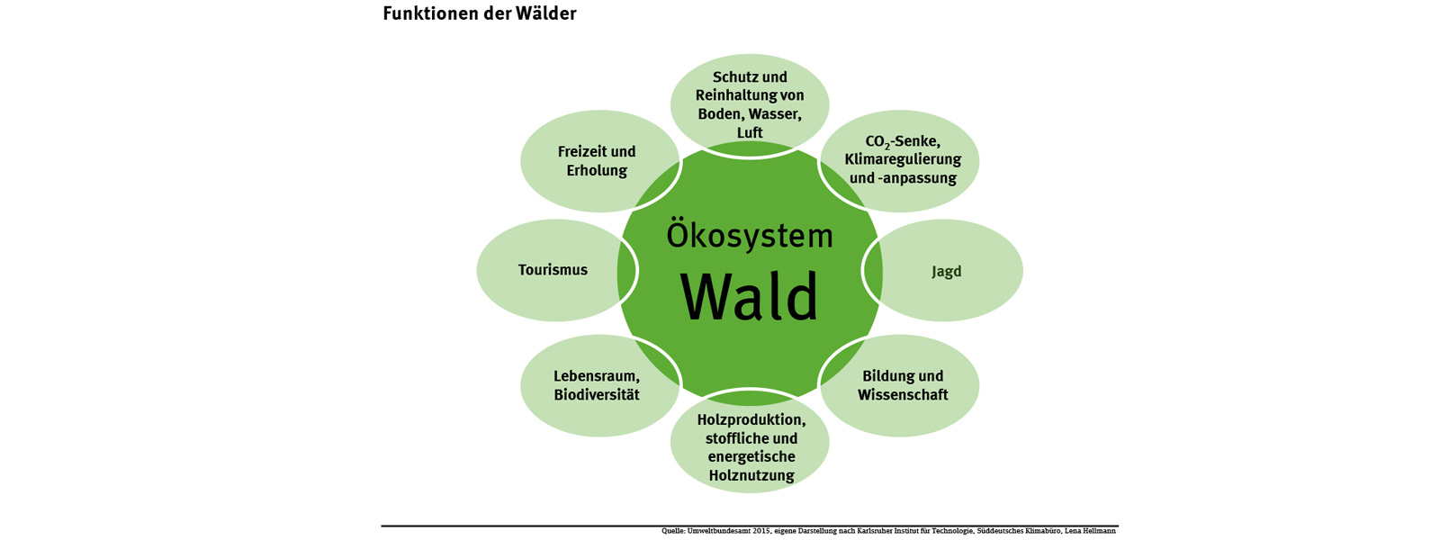ANYBRAND Ökosystem Wald Umweltbundesamt